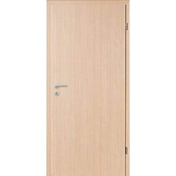 Innentür: Sandbirke